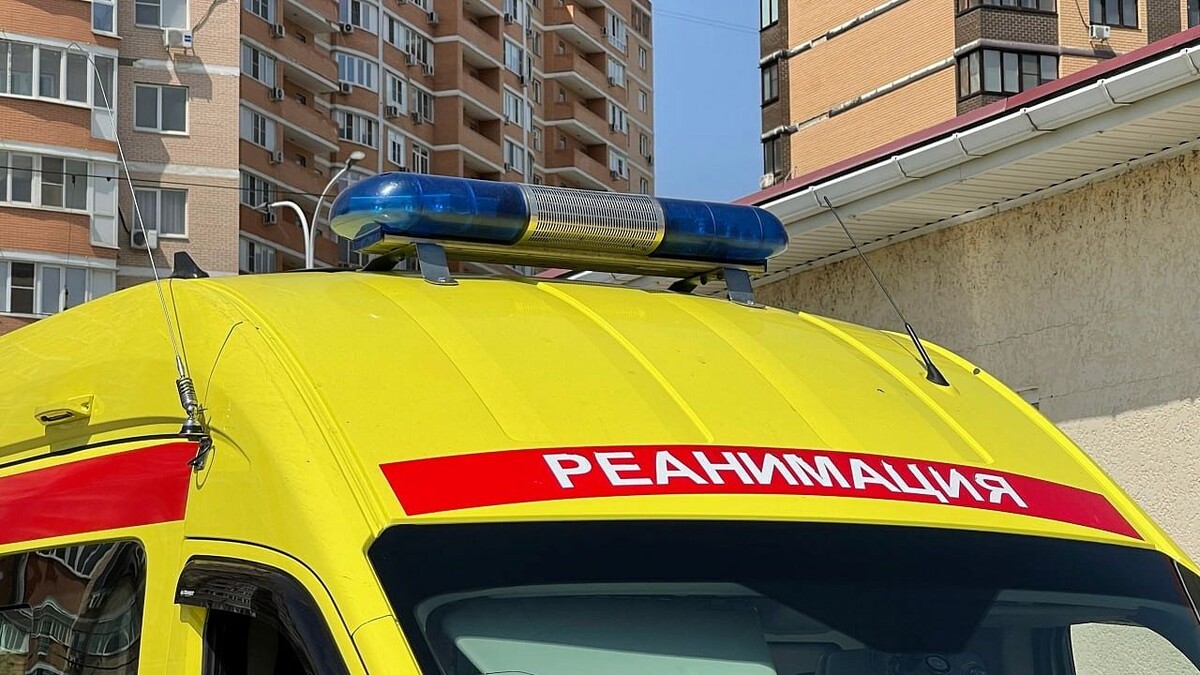    Фото: телеканал «Краснодар»