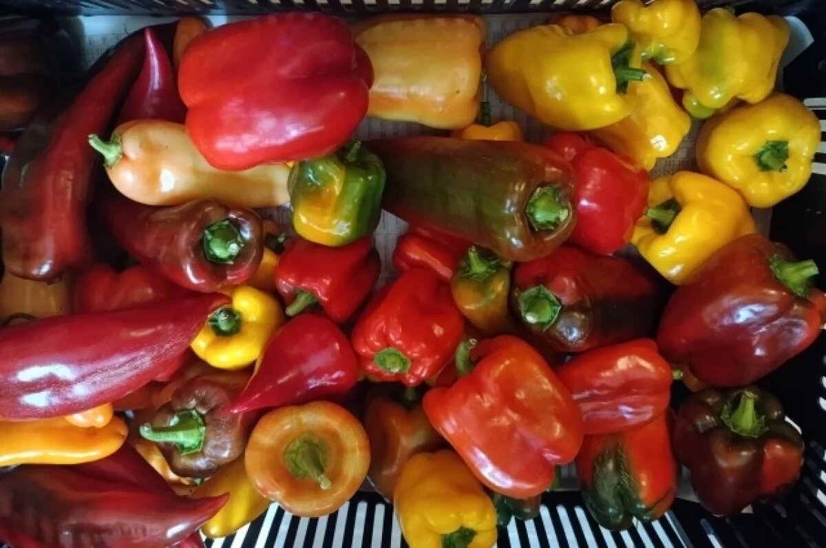    Продажи сезонных овощей начались на осенних ярмарках Новосибирска