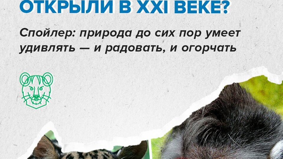 Каждый день Земля теряет около 150 видов беспозвоночных