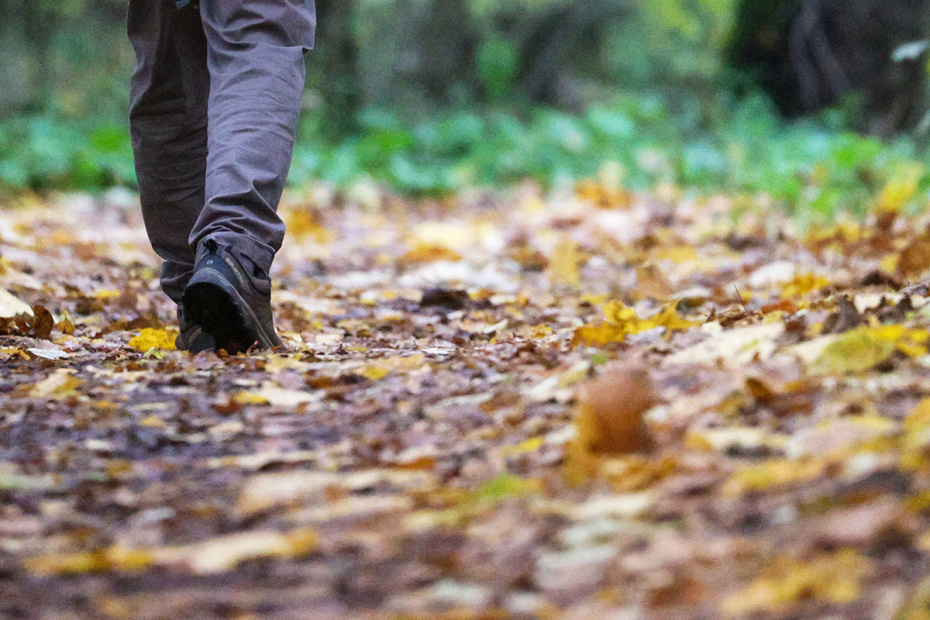    Сергей Булкин/NEWS.ru