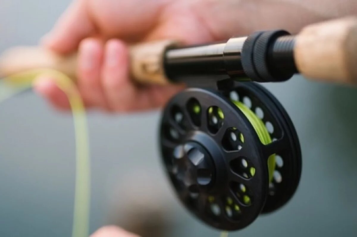    Запретная рыба.