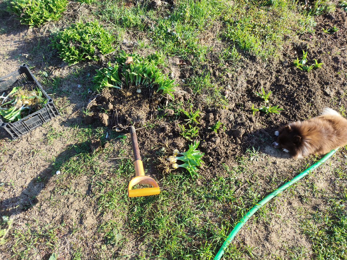 Процесс и главный помогатор