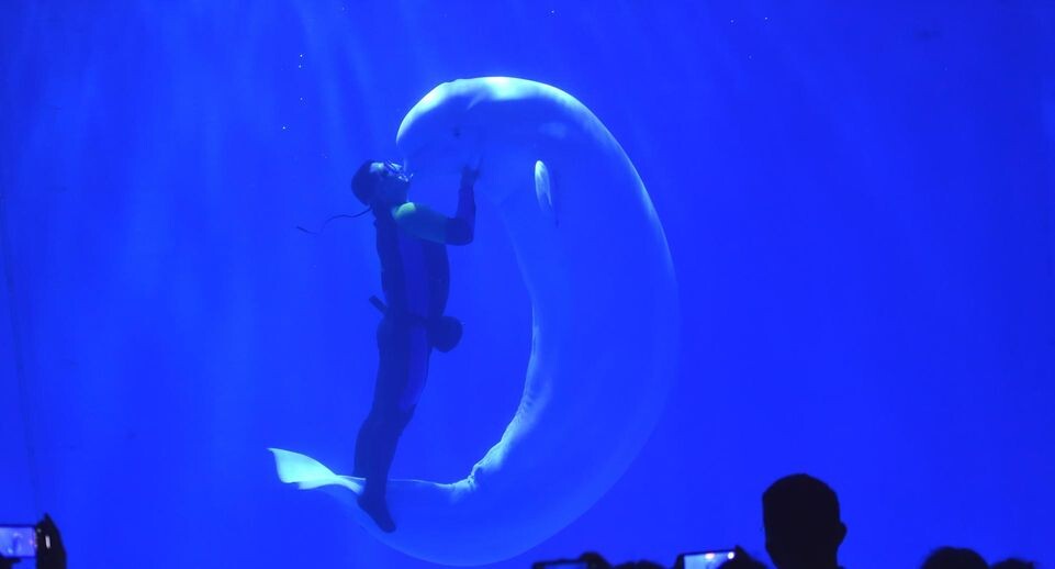    Cfoto/Keystone Press Agency / www.globallookpress.com