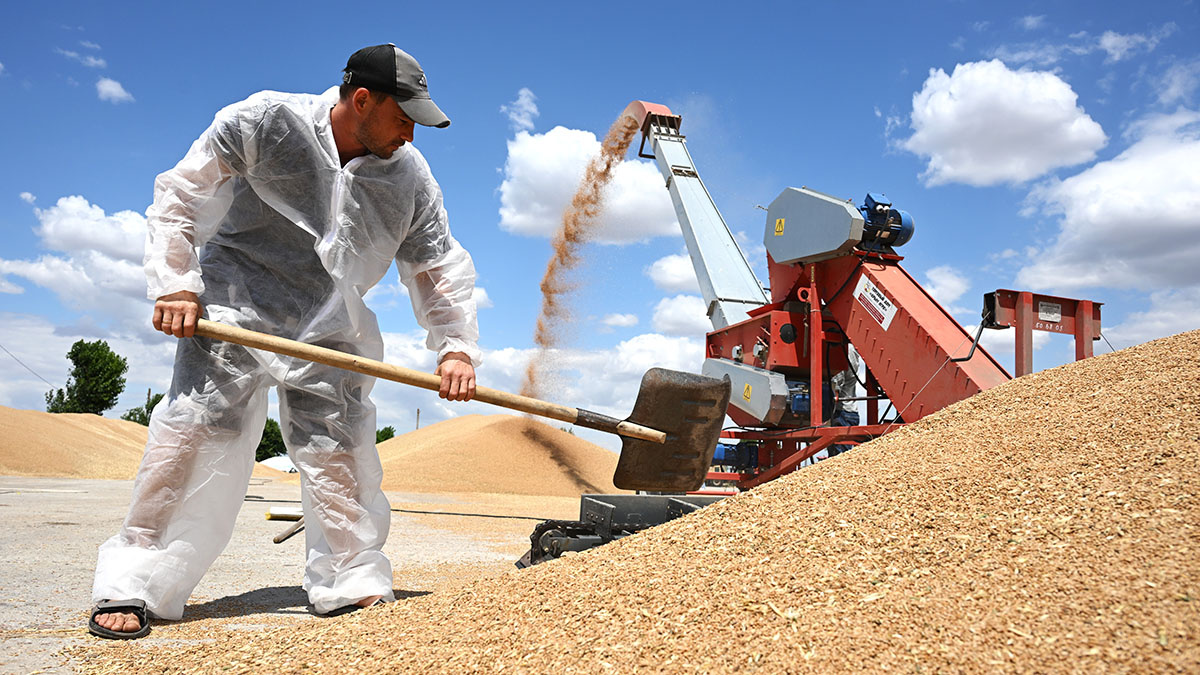 ©Константин Михальчевский/РИА Новости