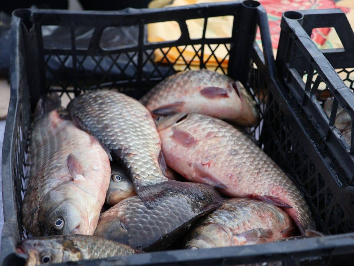 Фото предоставлено Лейсан Газизовой