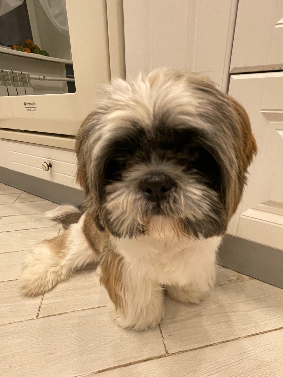 Очень способный ученик 👨‍🎓 