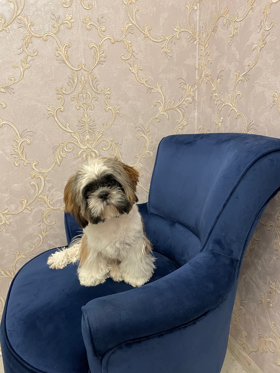 Ну что Вы от меня хотите:))