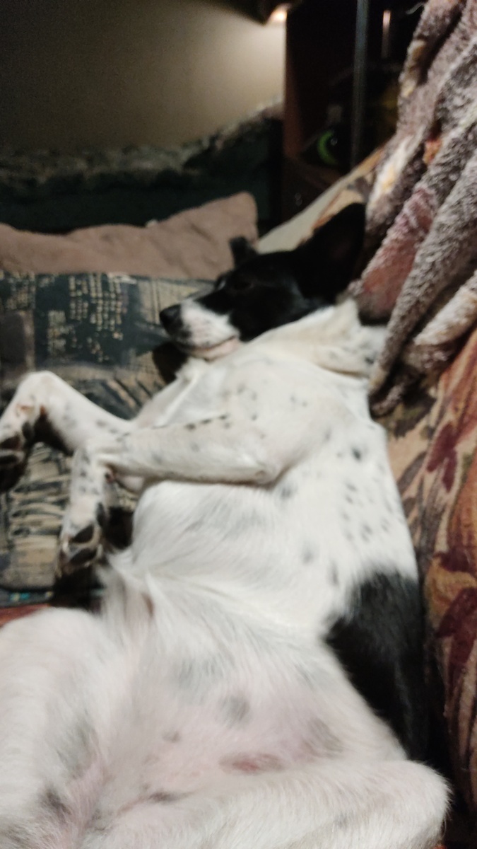 После ужина)