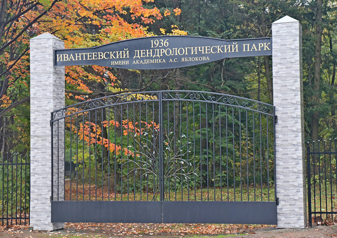 Фото взято с сайта https://ru.wikipedia.org/wiki/Ивантеевский_дендрологический_парк_им._академика_А._С._Яблокова