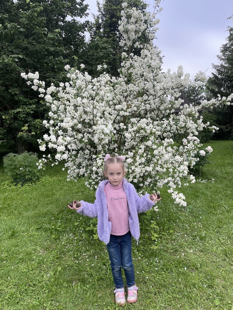 Атмосфера в парке, везде цветы