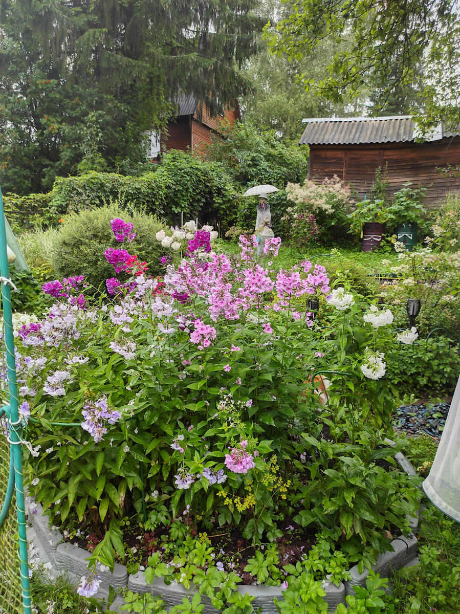 Фотографии из семейного архива. Листайте страницы галереи.
