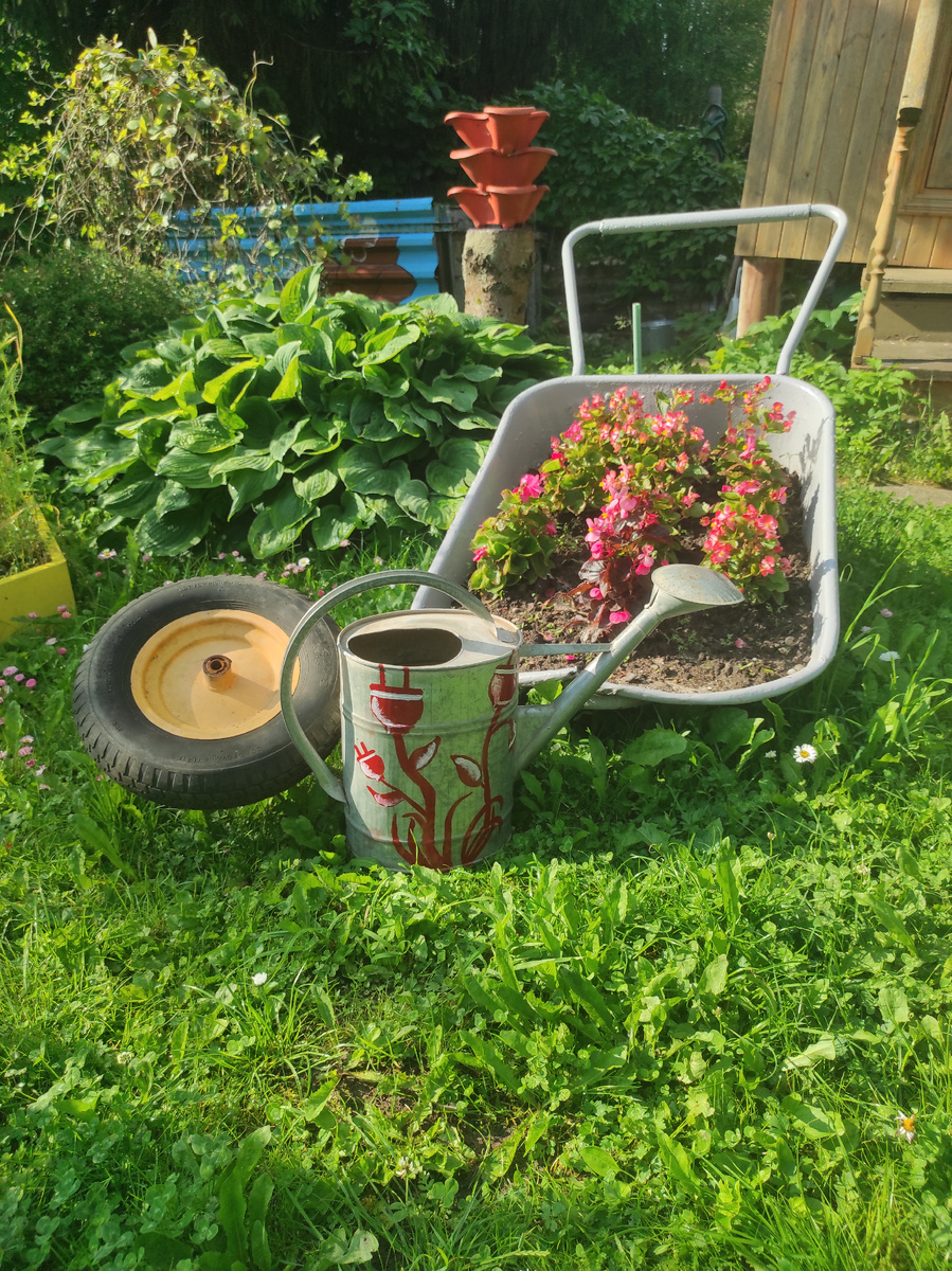 Фотографии из семейного архива. Листайте страницы галереи.