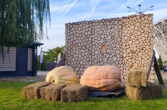    Фото: ЦПКиО