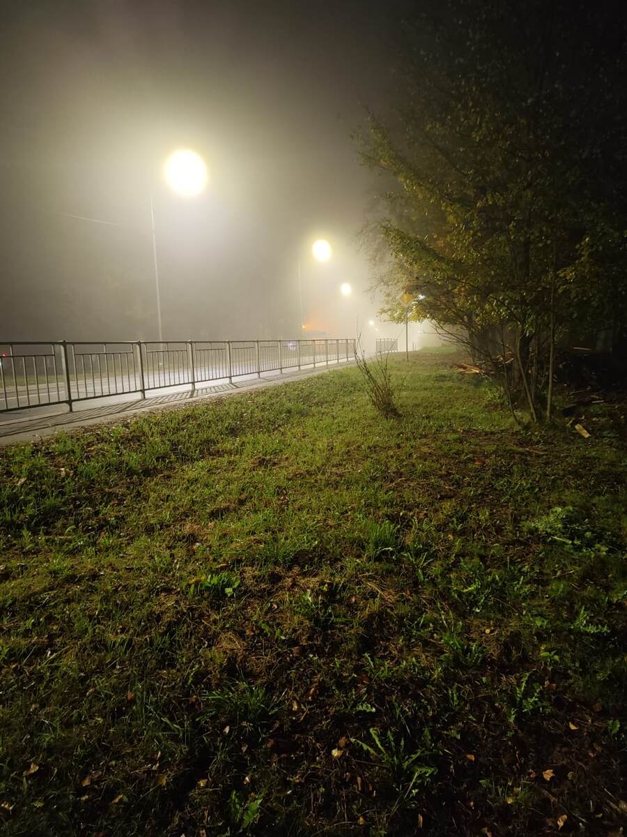 раннее утро 8 октября, село Медное