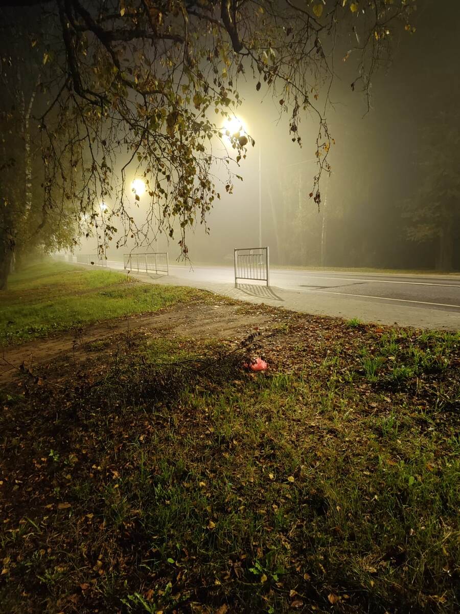 раннее утро 8 октября. село Медное