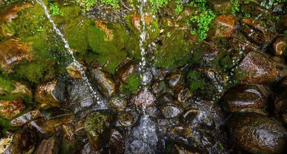    Медиасток.рф