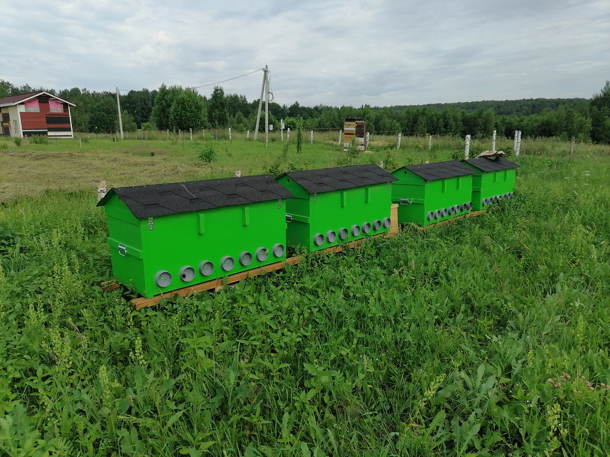 Базовый старт с 3-4 ульев-лежаков на рамку 460мм