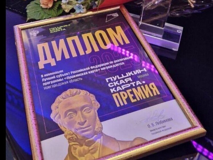     Регион начал реализацию проекта в 2021 году. Фото: telegram-канал главы Новгородской области Александра Дронова
