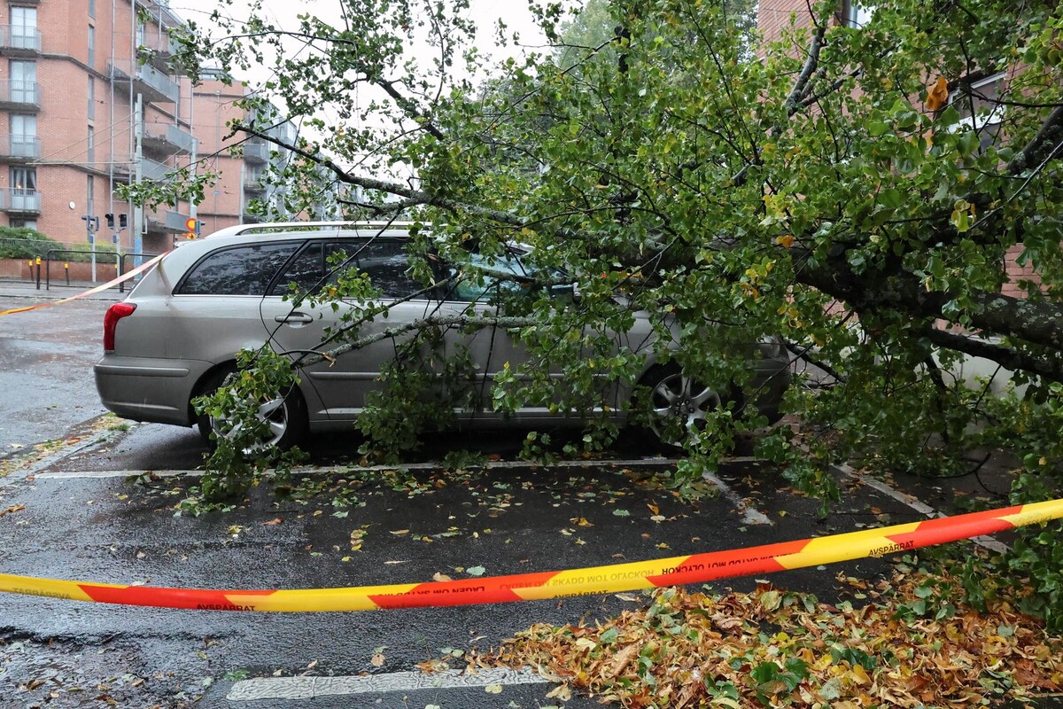     / Источник: © Global Look Press