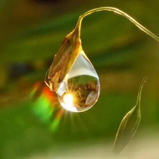 фото из открытого доступного источника сети интенет