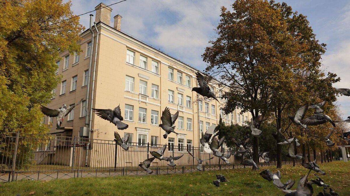    Фото: t.me/astashkevich_m_d