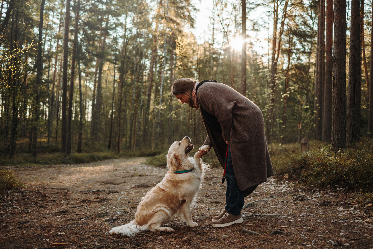 Доверие - важнейшая деталь любых отношений