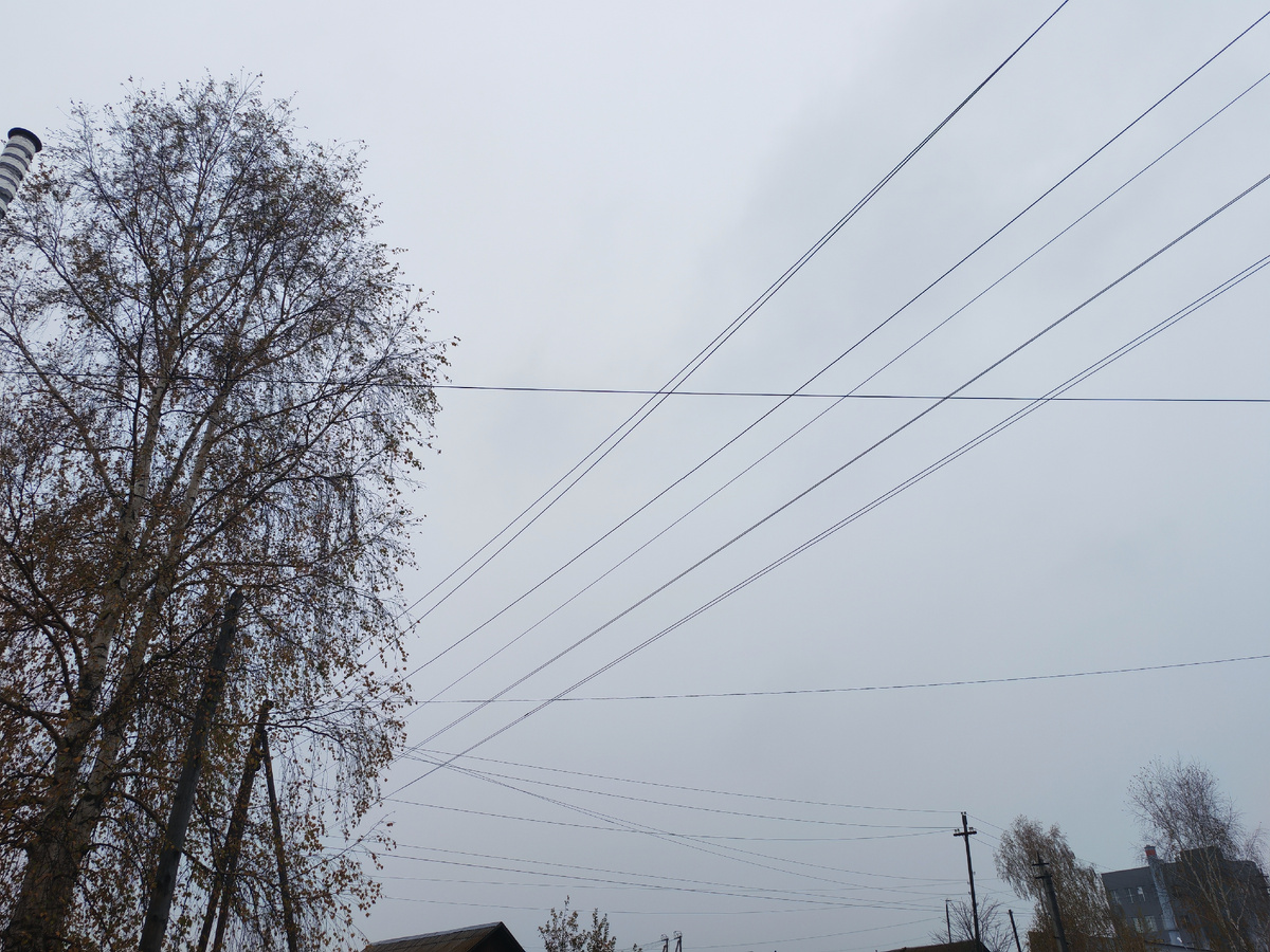 Личное фото автора канала