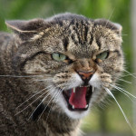 prettyХамам здесь не место