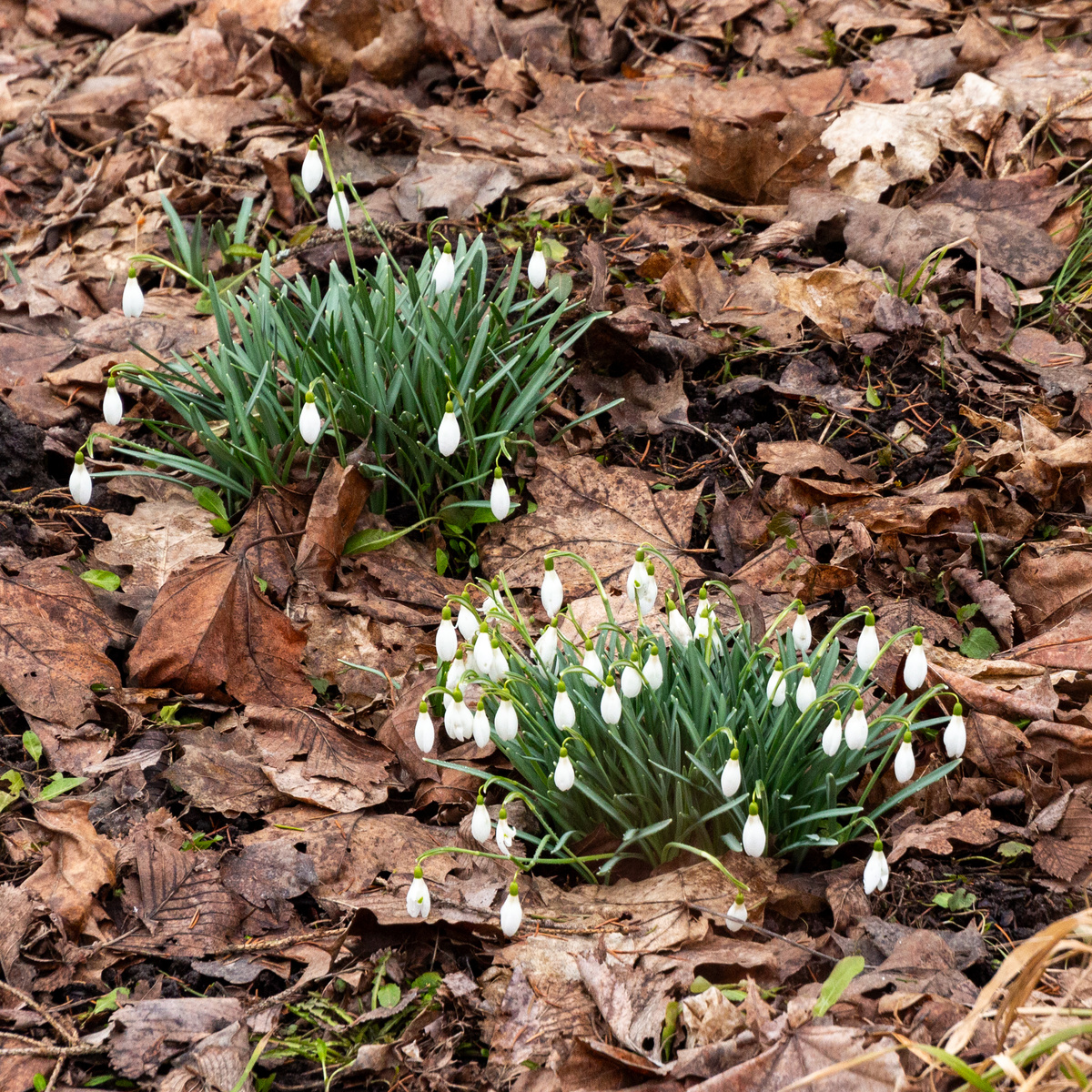 По дороге в Печоры
