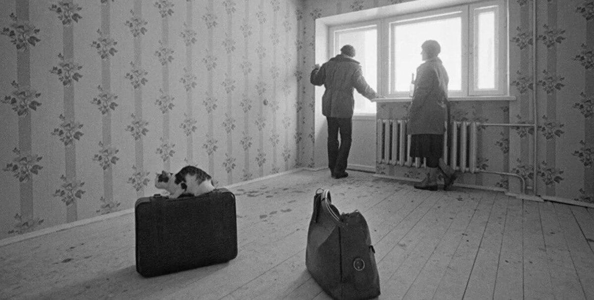 Фото с сайта https://www.kp.ru/daily/27229/4355381