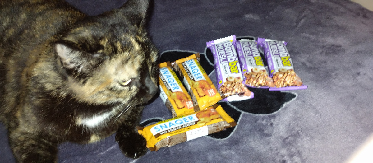 Лама  изучает человеческое здоровое питание