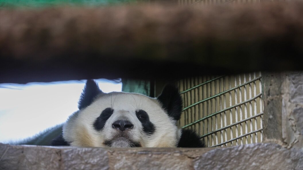    Shatokhina Natalia/news.ru/Globallookpress