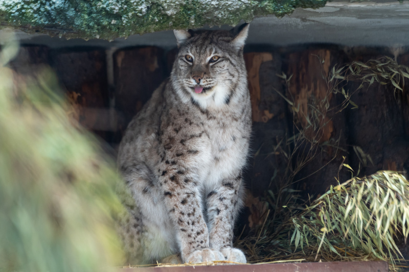    ФОТО: Komsomolskaya Pravda/Global Look Press