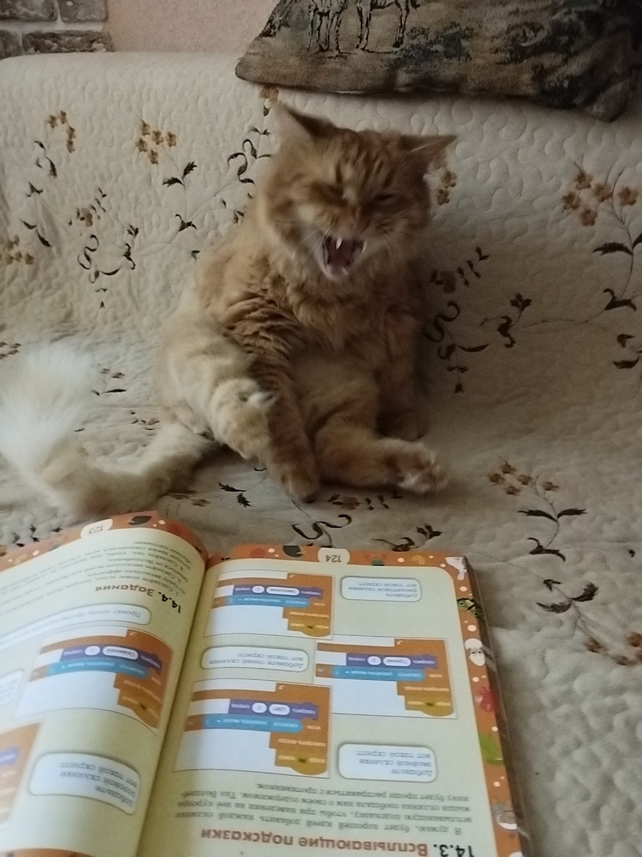 Как? Снова учиться?? 