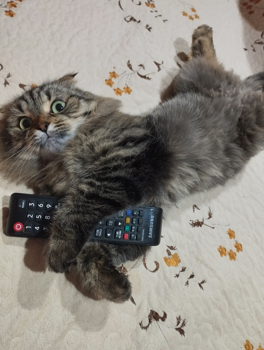 Нажимаем на кнопку и поехали... 