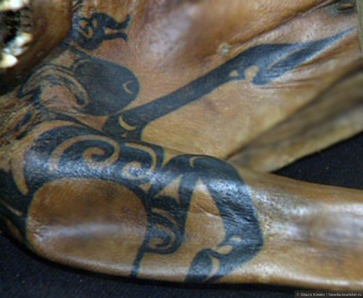 татуировки принцессы Укока