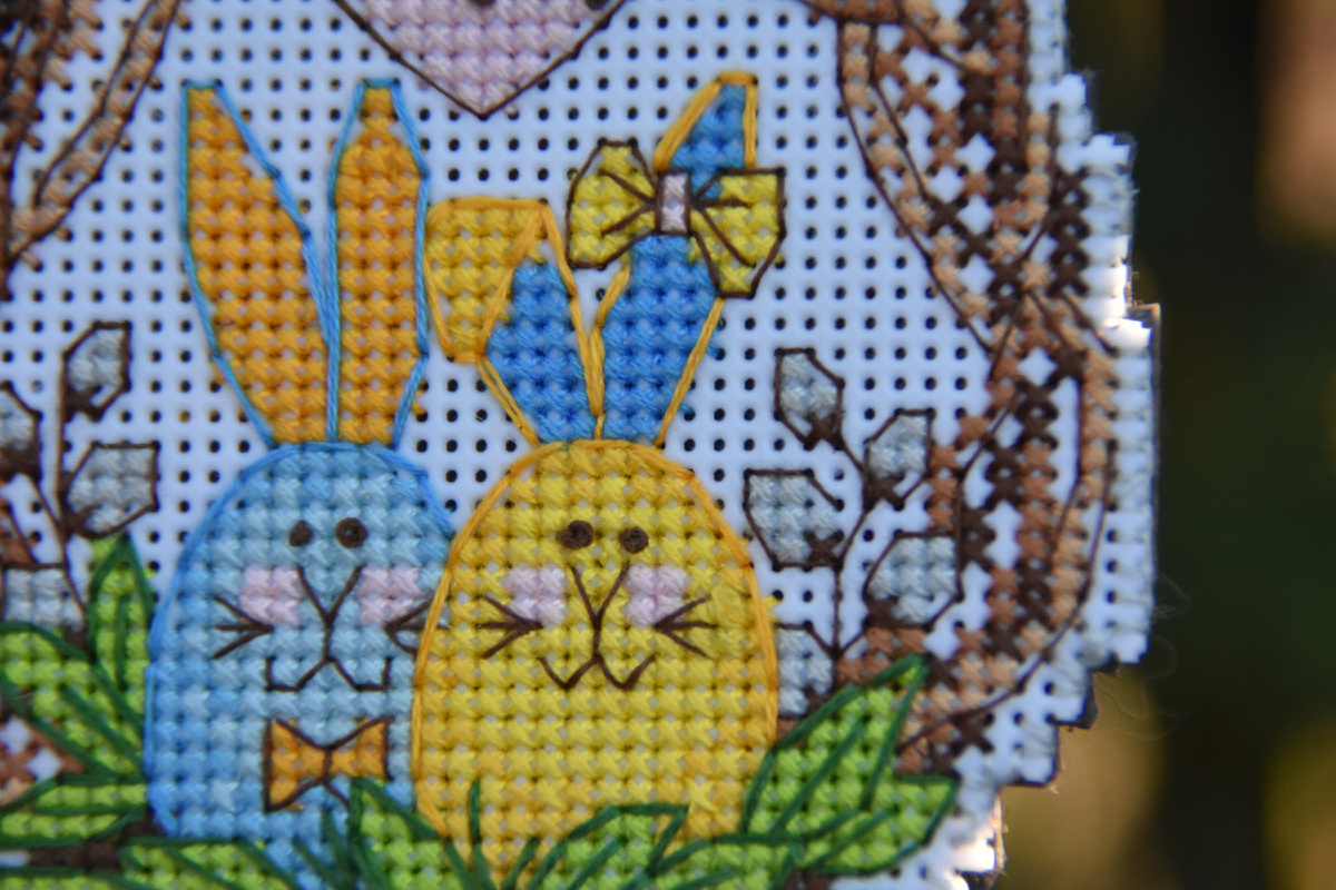 Очаровательная пара. Фото автора, 4 октября 2025 года.