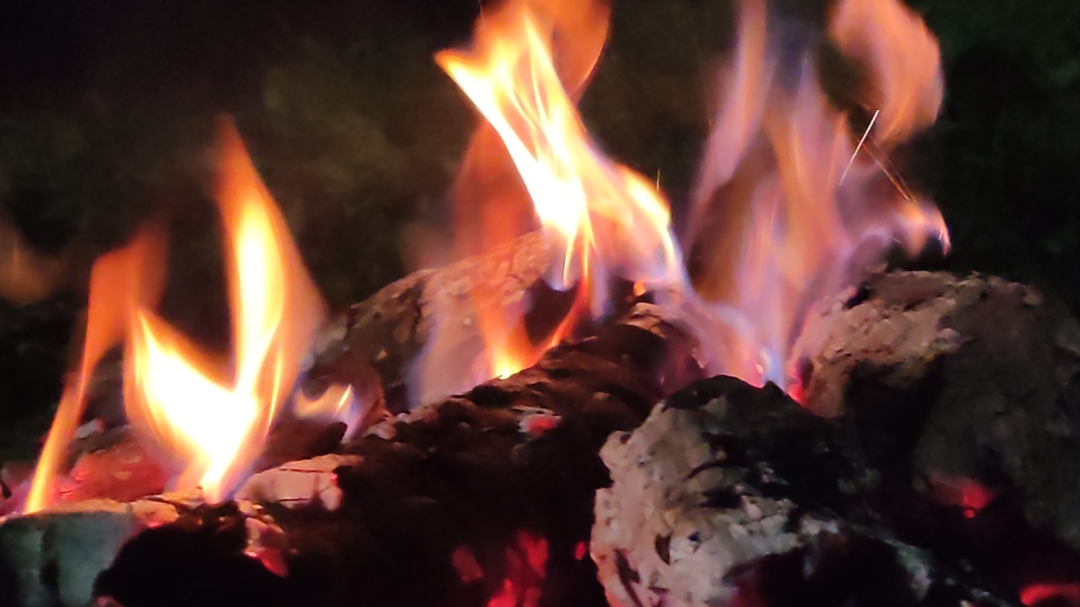 Птица-Феникс.