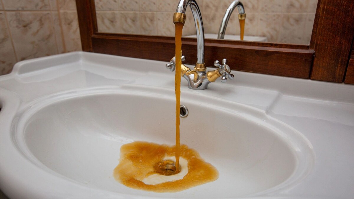    Фото: Natalia Sokko/Shutterstock/Fotodom