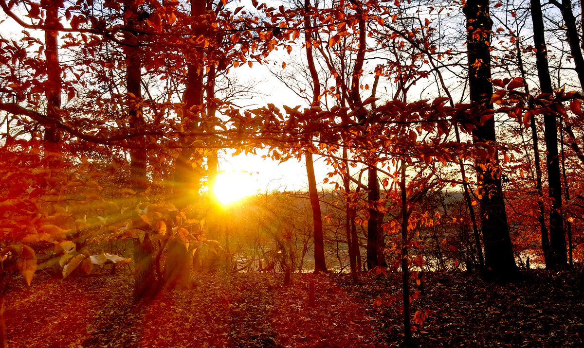 Изображение из открытых источников