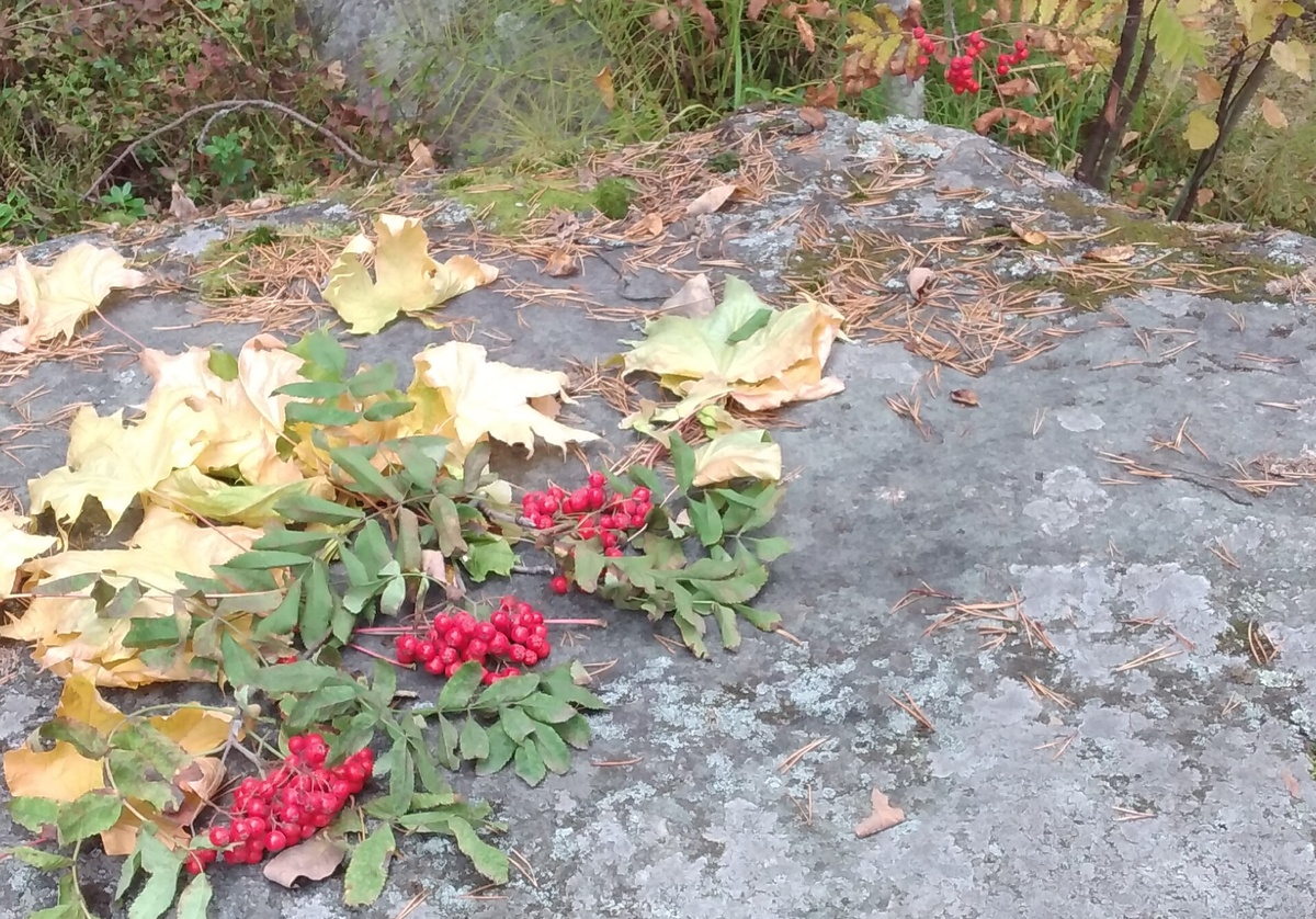 Фото автора.