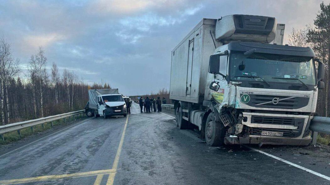    Фото: t.me/prok_yanao