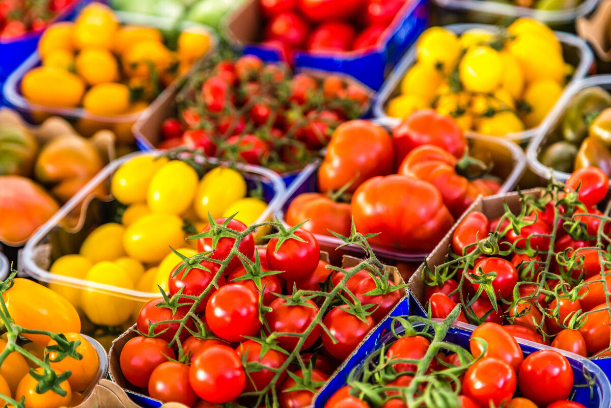    Помидоры. 123RF/legion-media.ru