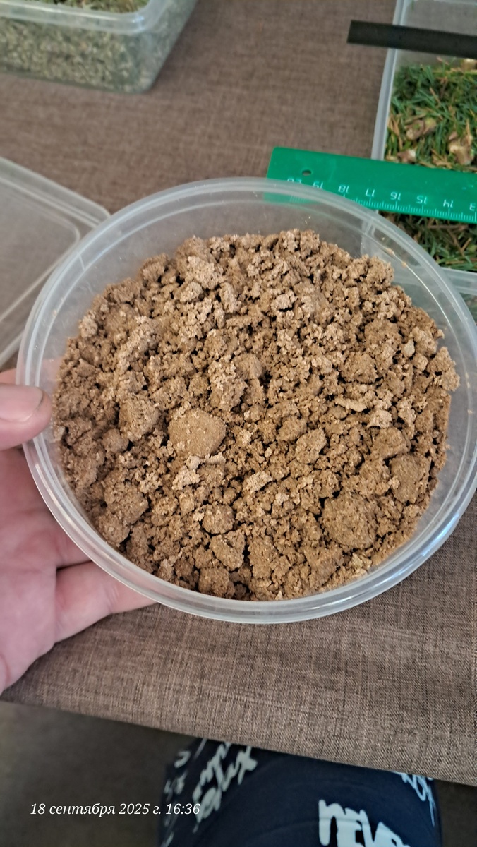 Песок из деревни Куприяново, Калужской области.