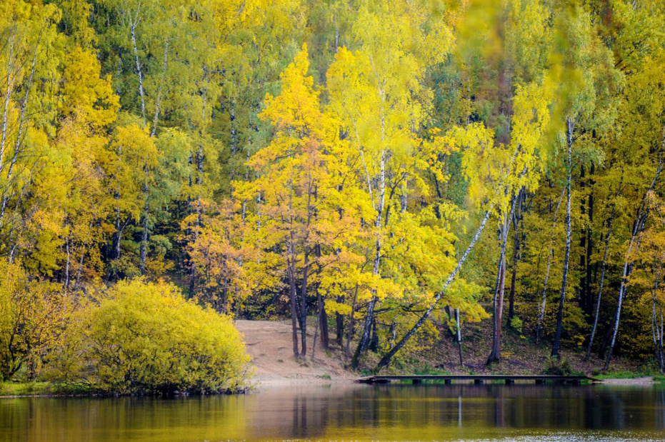    Сергей Лантюхов/NEWS.ru
