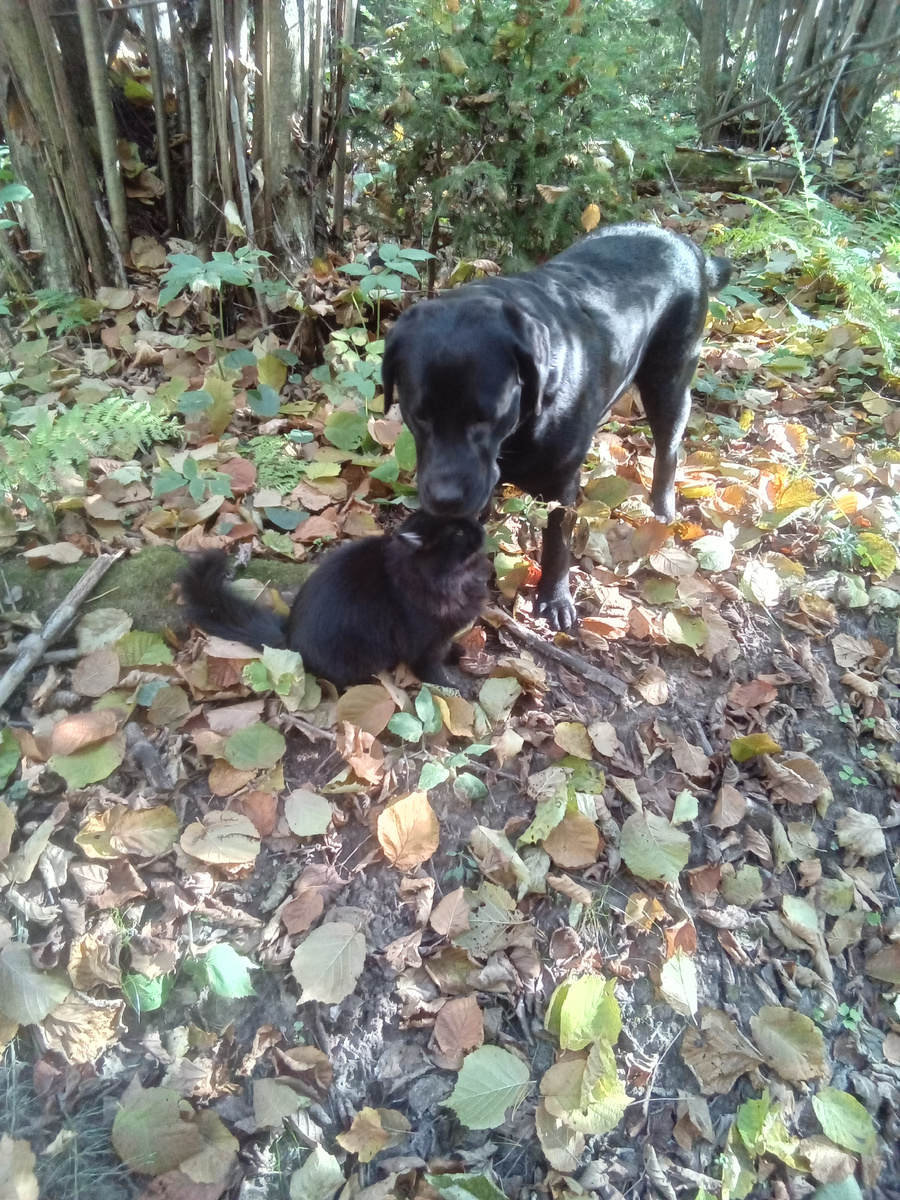 Фото автора. 