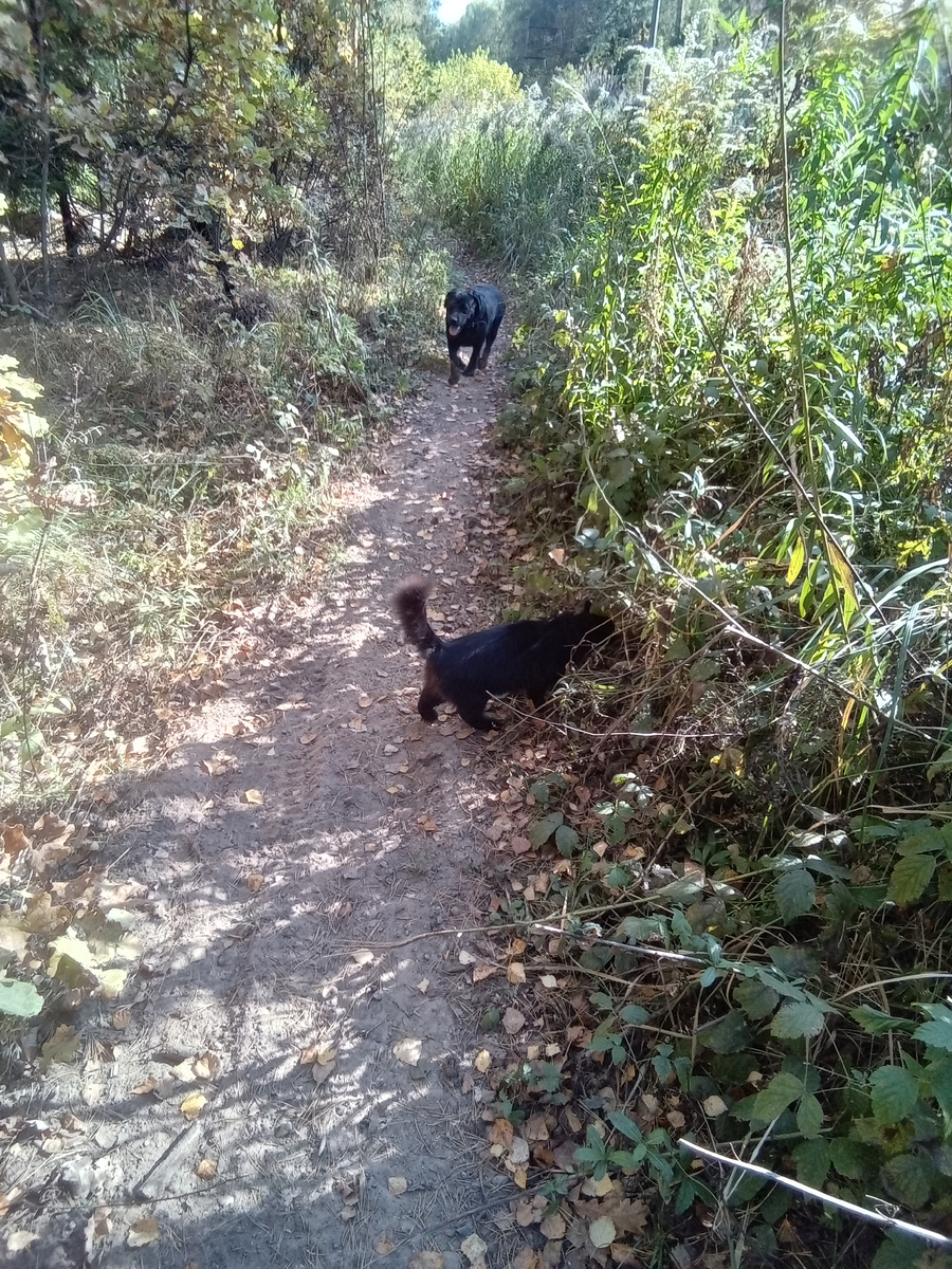 Фото автора. 