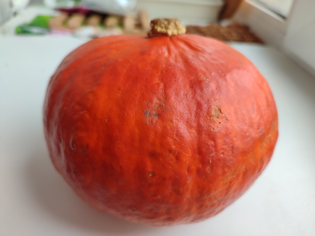  Она так и манила своей красотой и яркостью.