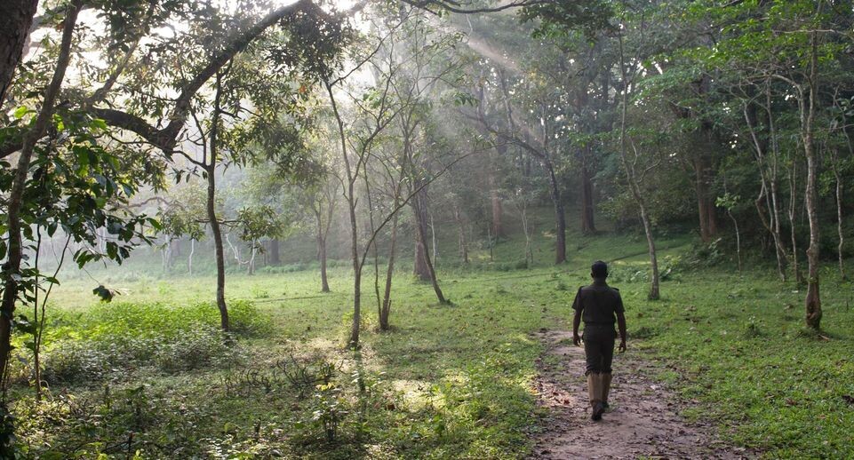    Sebastian Kahnert/dpa-Zentralbild / www.globallookpress.com