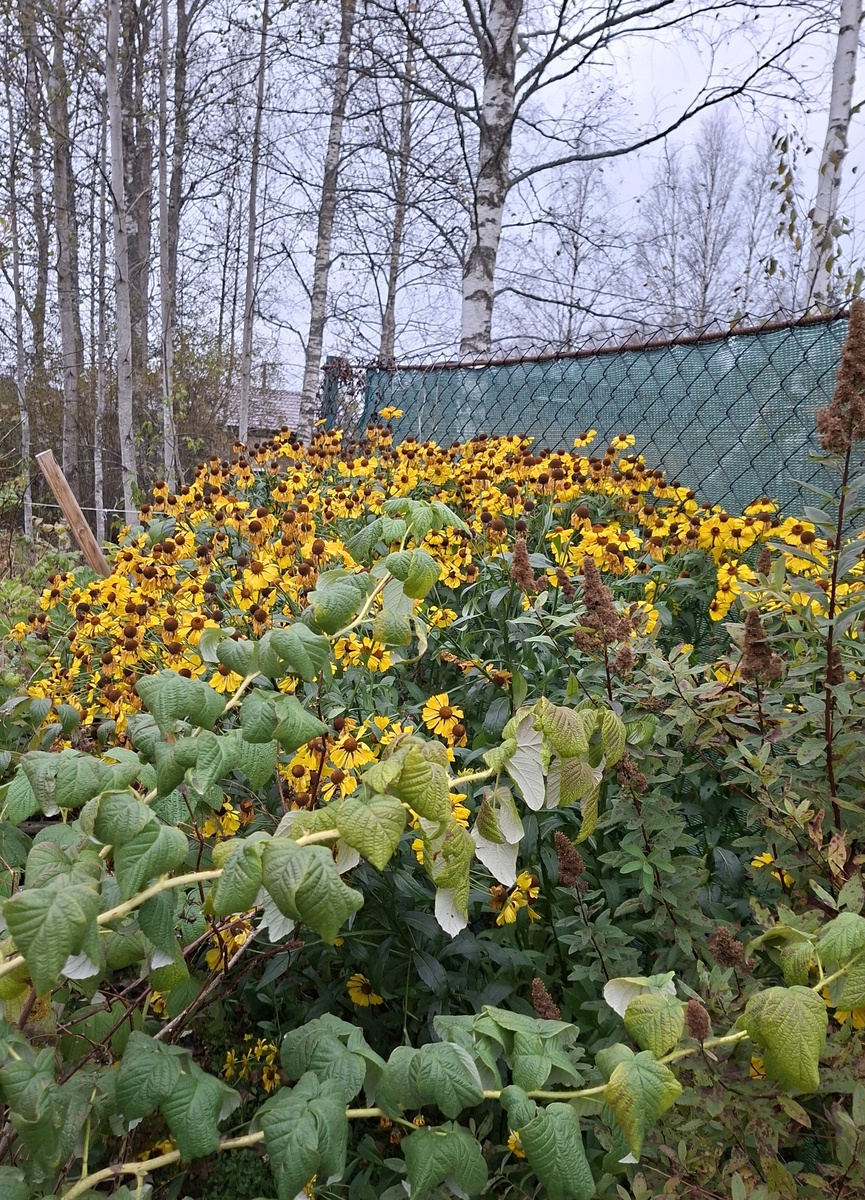 Последний осенний штрих